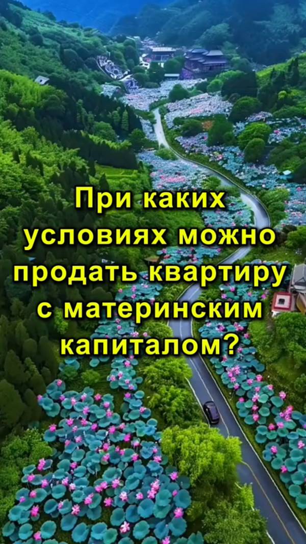 При Каких Условиях Можно Продать Квартиру с Материнским Капиталом? | Материнский Капитал - Что Важно