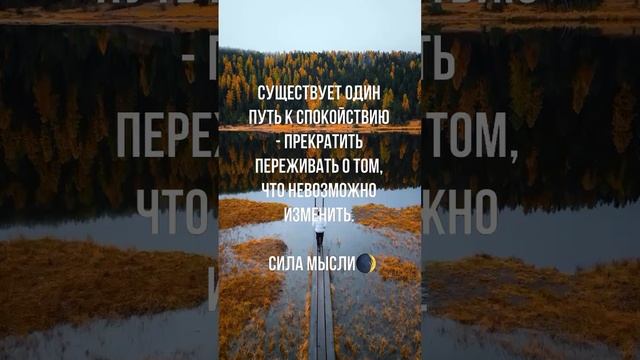 Сила Мысли 03-10-2024