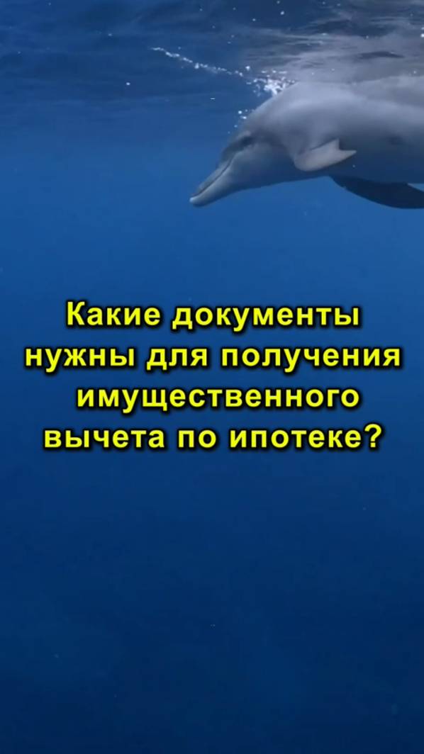 Какие Документы Нужны Для Получения Имущественного Вычета по Ипотеке? | Имущественный Вычет - Важное