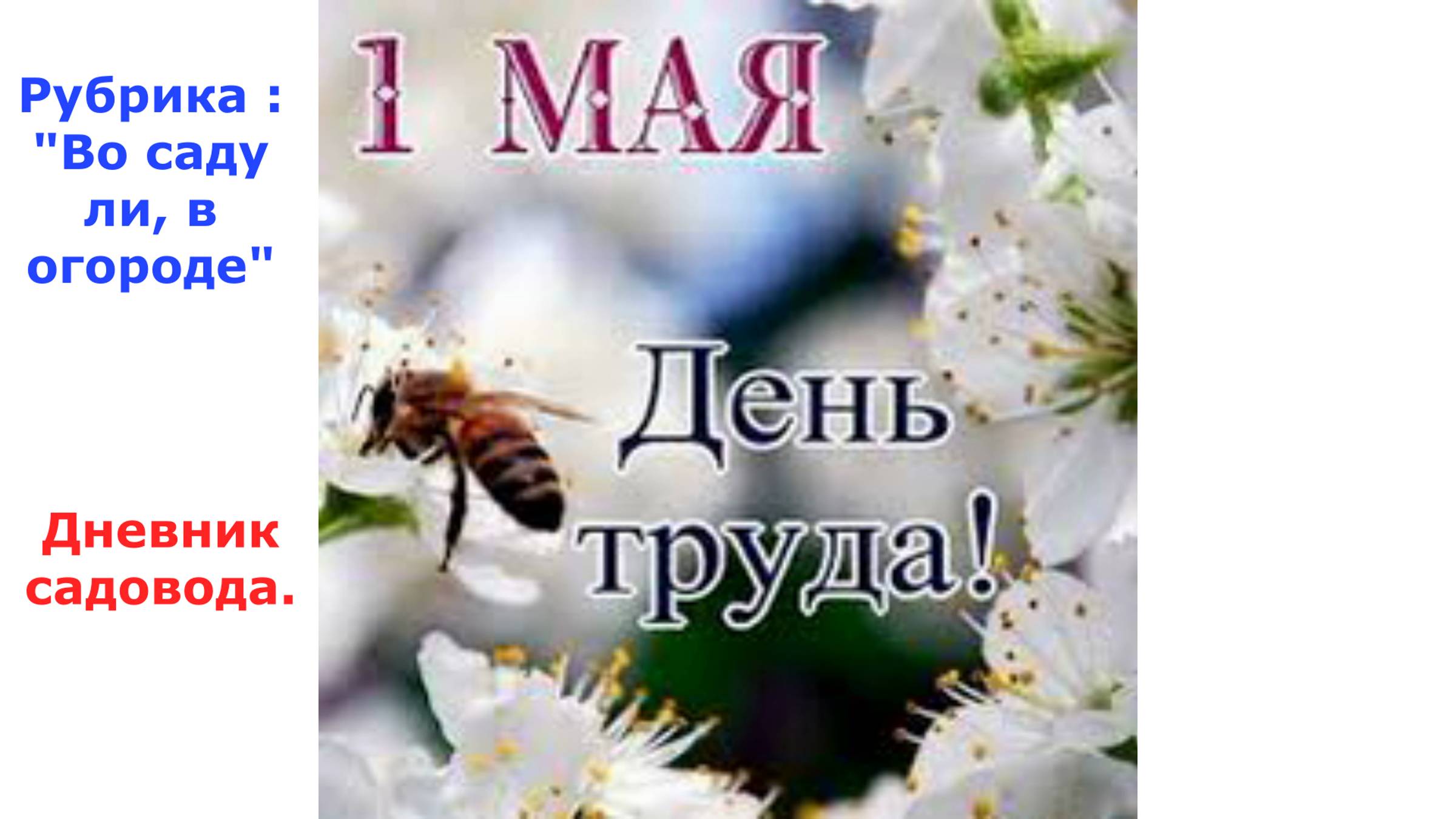 Дача № 1.  Выпуск 3.
1 мая-день труда. Трудимся на даче.