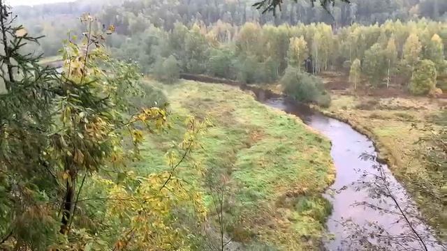Райское местечко в Ленинградской области
