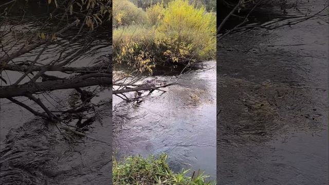 Звуки воды