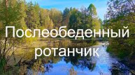 Минирыбалка. Послеобеденный ротанчик. 23.09.2024 г. Раменское.