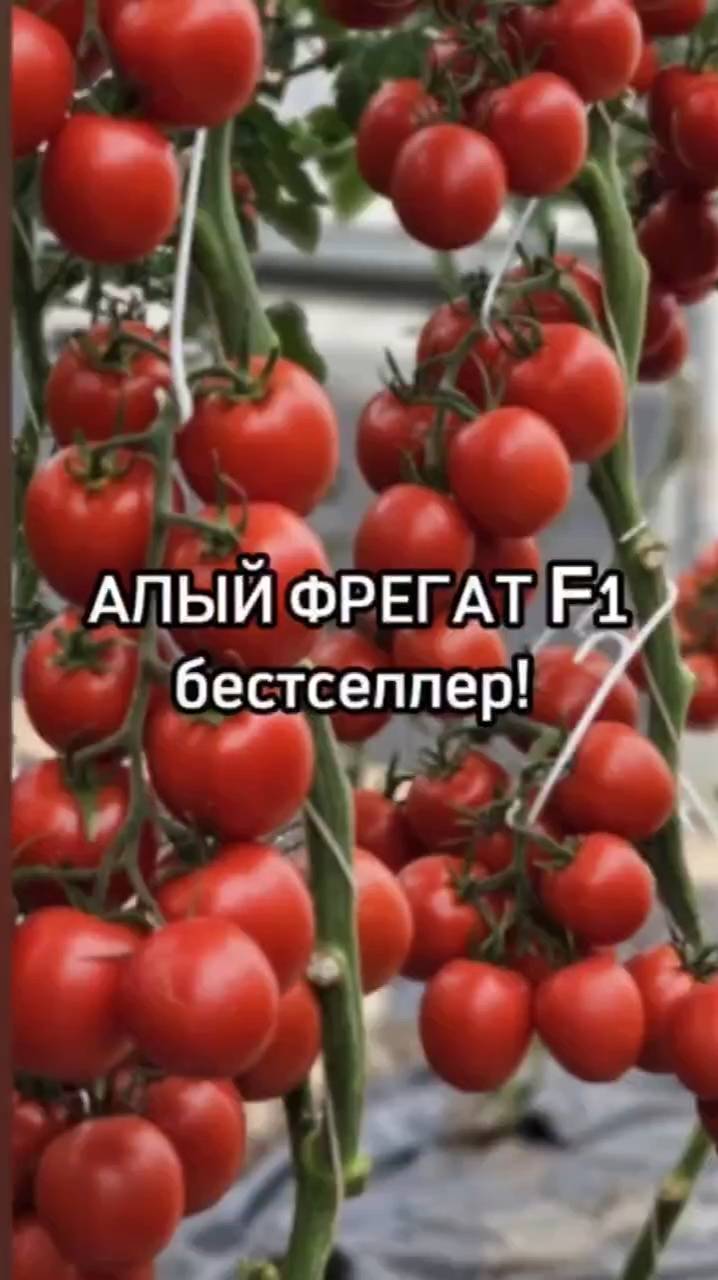 Выращивайте ИДЕАЛЬНЫЕ помидоры каждый раз с помощью этого удивительного гибрида!