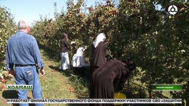 Хьувкъам чуэцаш боахк «Сад-Гигант» предприяте болхлой