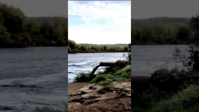 Стоки грязной воды сливают в Клязьму Владимирской области