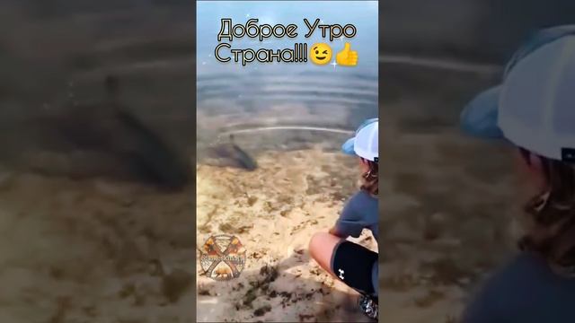 Бодрое утро-Страна😁👍.mp4