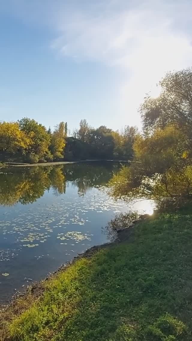 Золотая осень.Тольятти