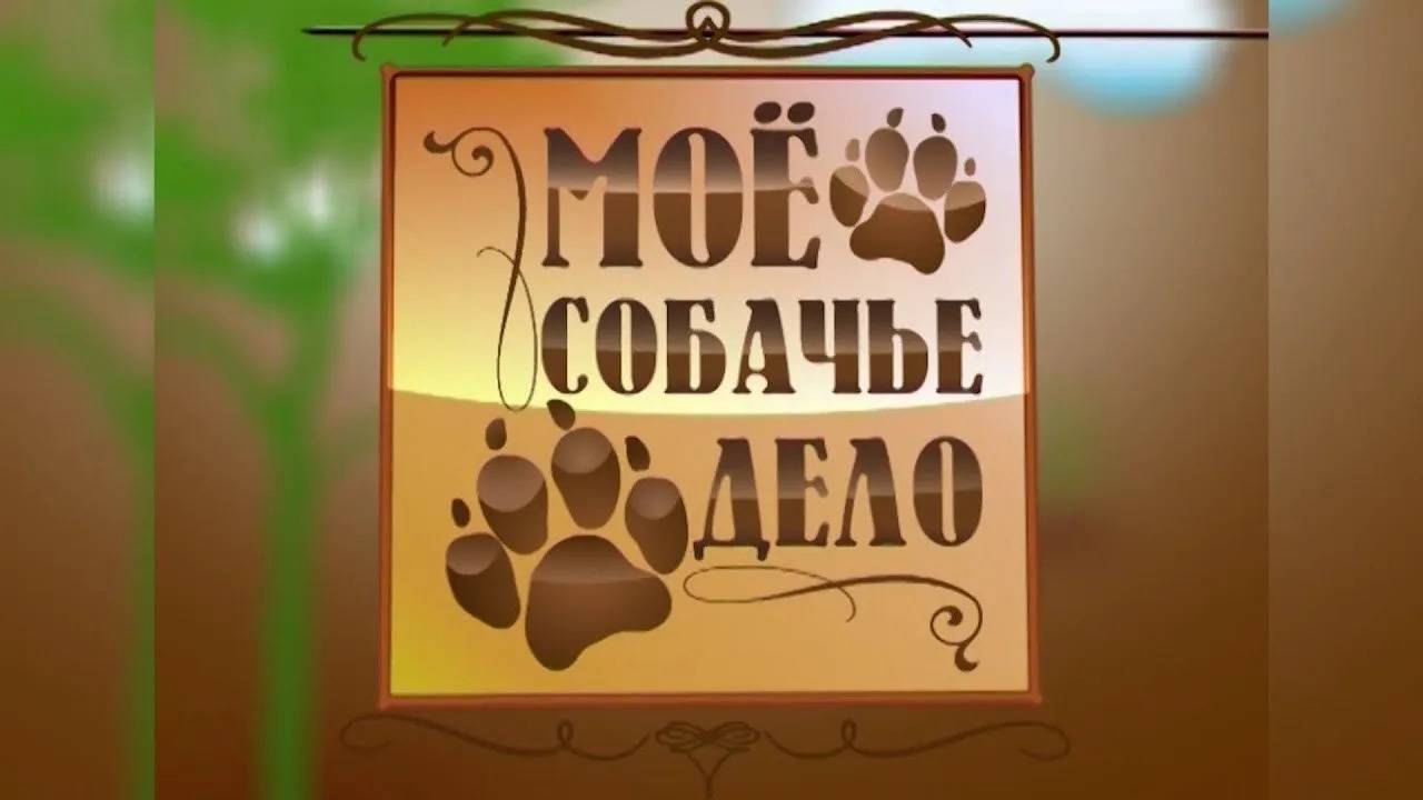 Выпуск 20. Митинг ч. 1