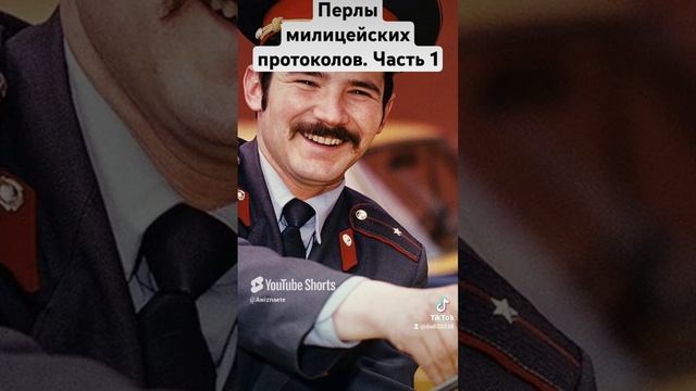 Перлы милицейских протоколов.  Часть 1