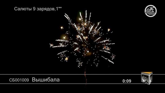 СБ001009 Вышибала