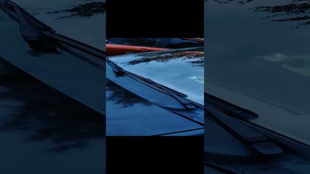 1000031750.mp4