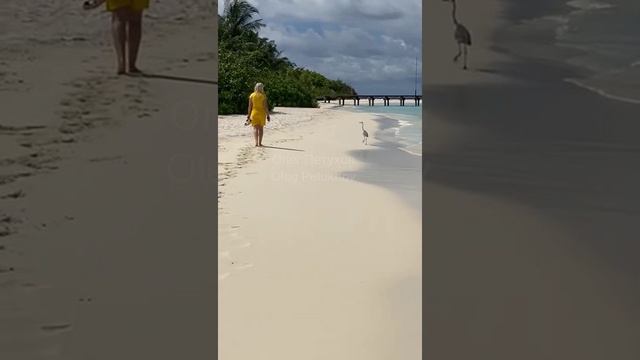 Мальдивы. Maldives. 马尔代夫。