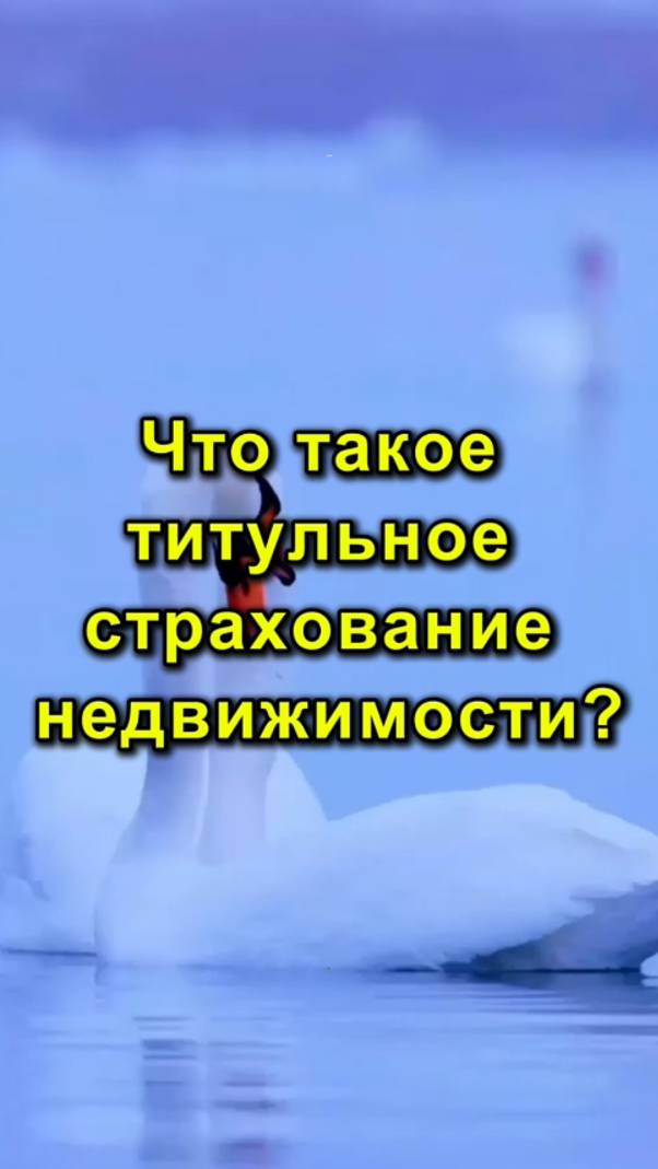 Что Такое Титульное Страхование Недвижимости? | Титульное Страхование Недвижимости - Что Важно Знать