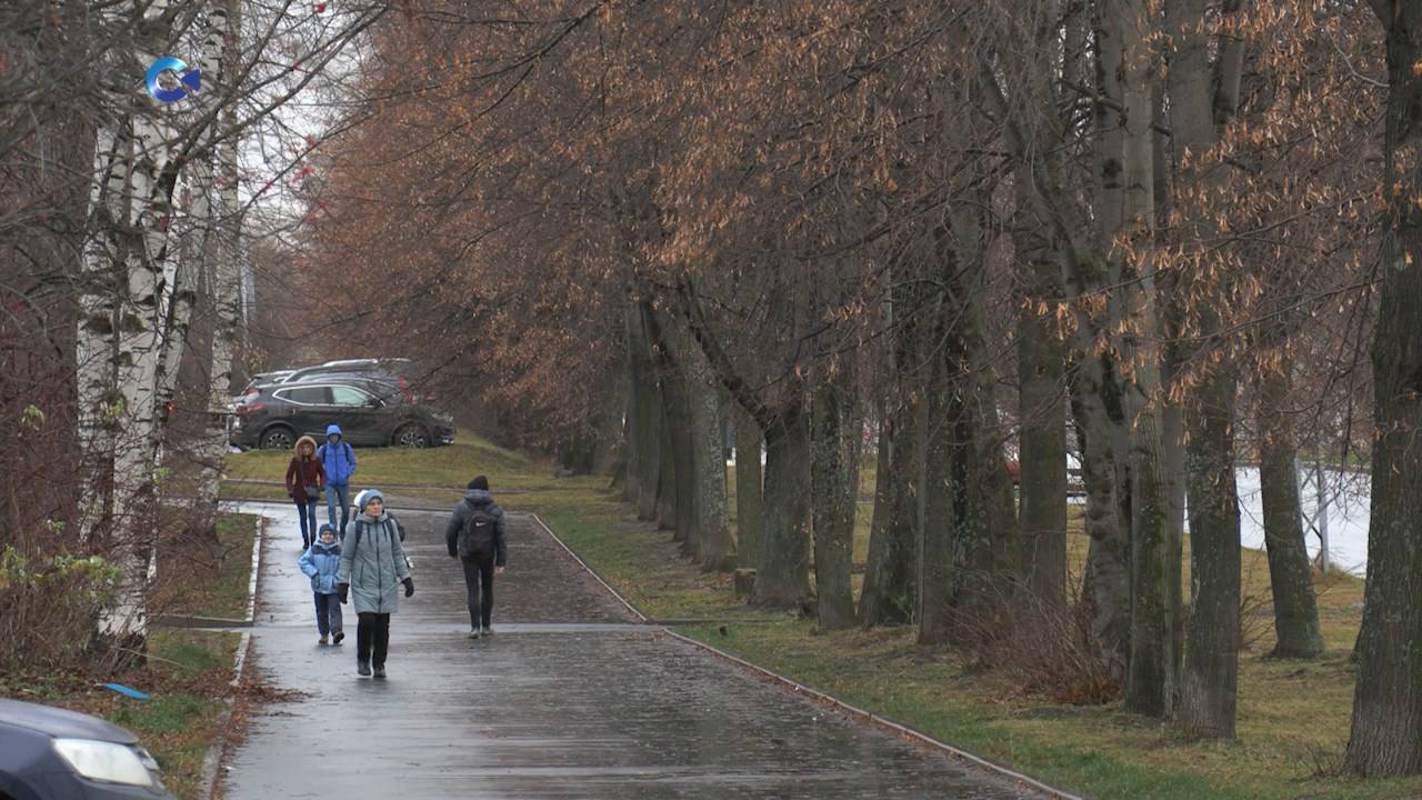 В Карелии в ближайшие дни ожидается снег