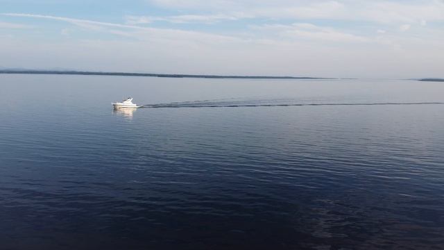 Point-au-roche geese