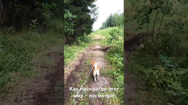 С добрым утром- любимые!