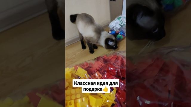 Классная идея для подарка 👍