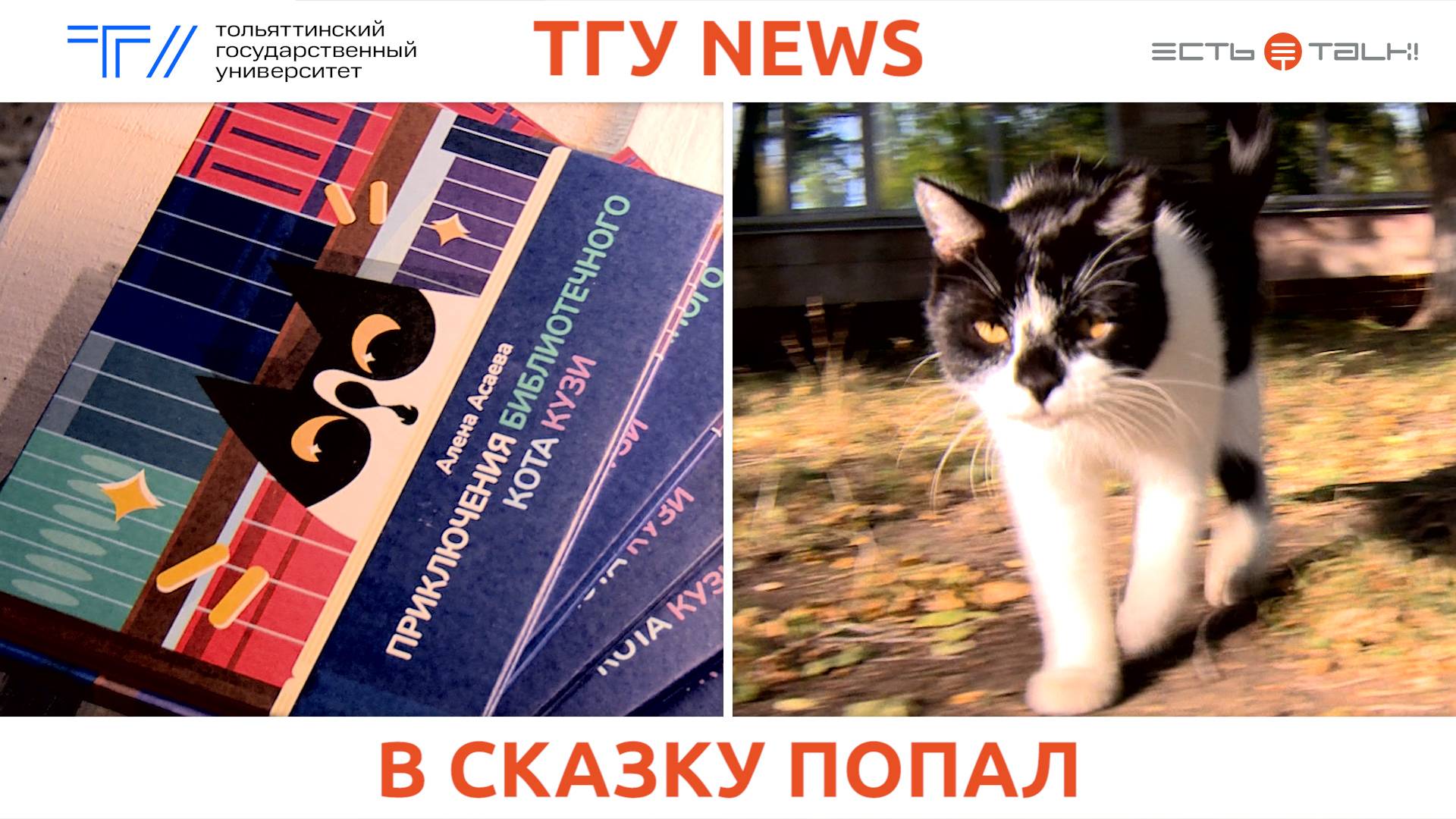 ТГУ News: Презентация художественной книги «Приключения библиотечного кота Кузи»