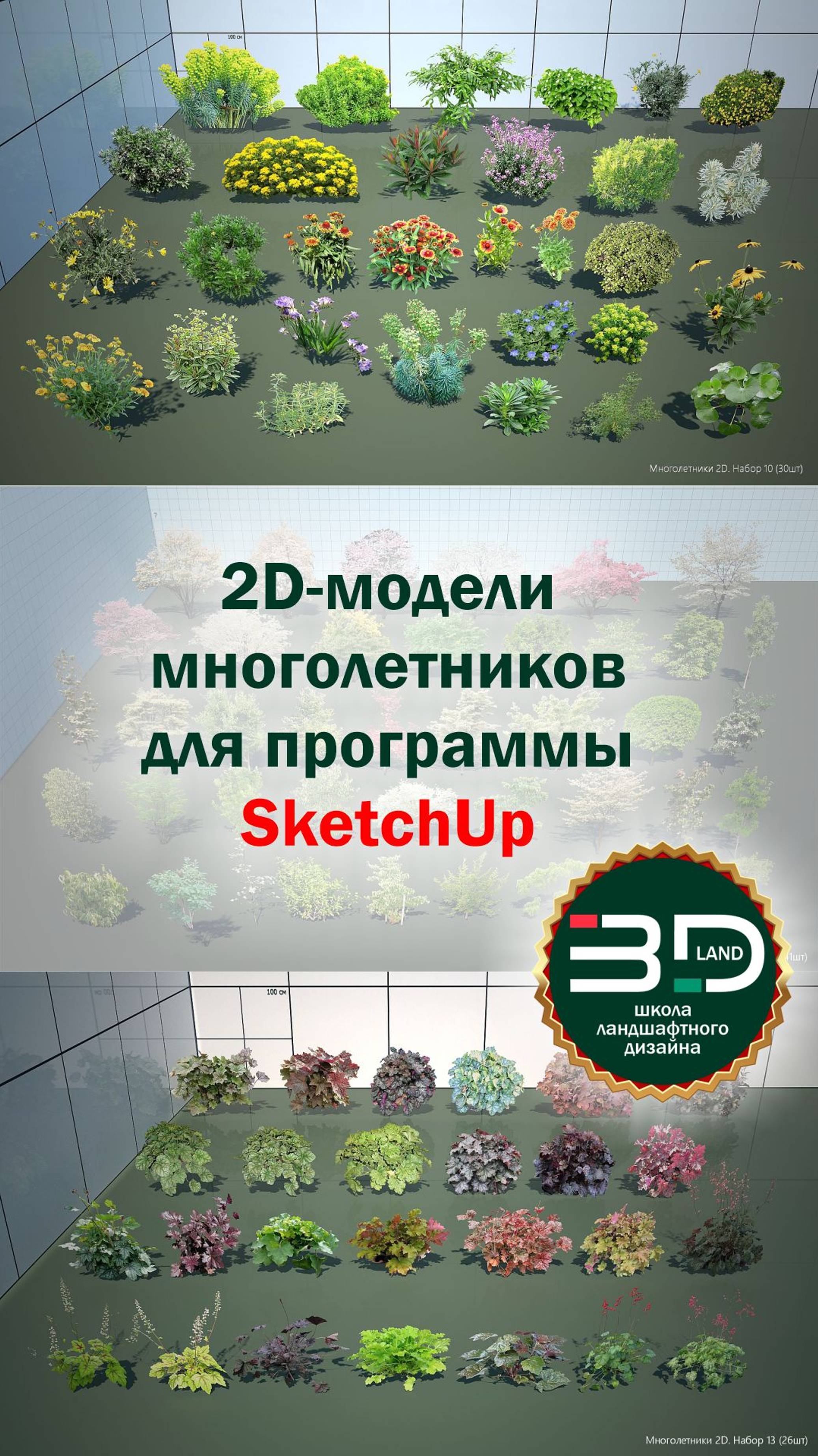 2D модели многолетников для программы SketchUp