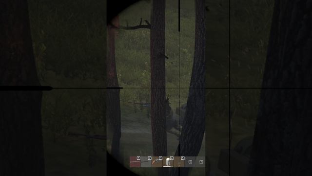 Однажды в DayZ