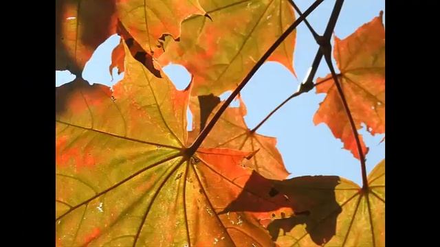 Календарь народных примет сентябрь месяц