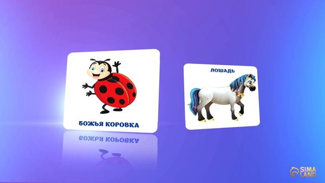 Настольная игра «Найди пятнышки», 40 карточек ( Арт ДетМир - 1000915571 )