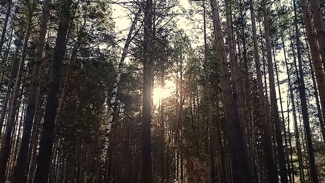 Осеннее солнышко.