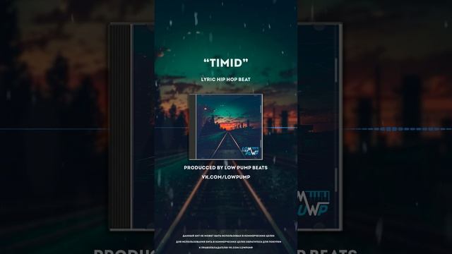 [FREE] Lyric Hip Hop 2024 - "Timid" (prod. lowpumpbeats) - 74 bpm