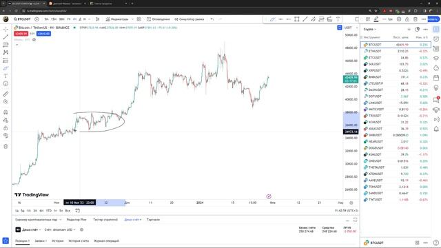 Обзор биткоина 30.01.2024