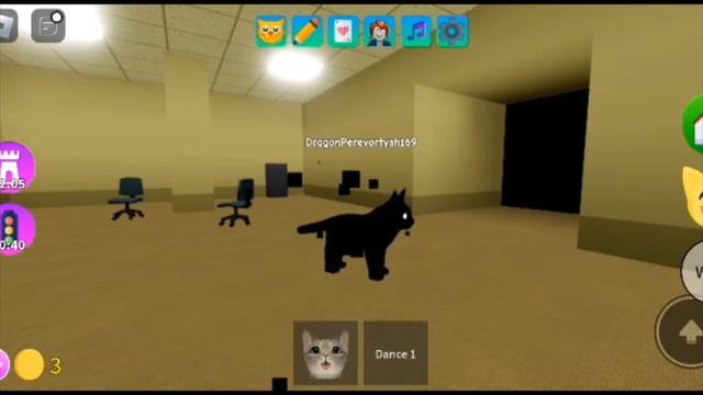 как найти чёрную кошку в игре kitten game в Roblox