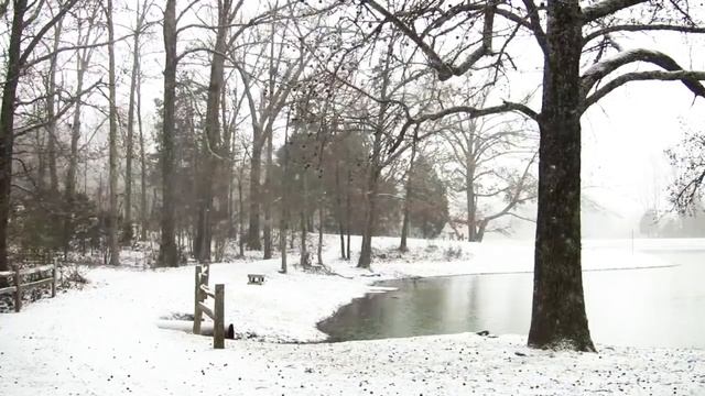 Снегопад. Царева Людмила Ивановна