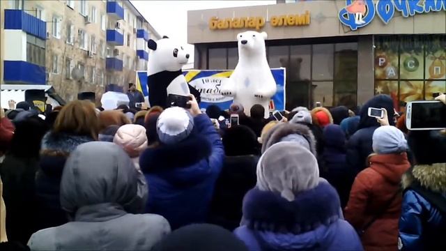 Прикольные мишки в Атырау!