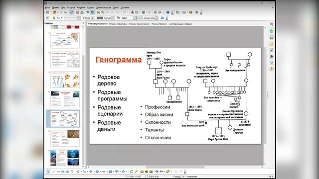 Родовые программы