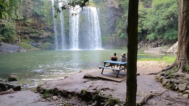 Водопад Фангарей - Whangārei Falls, New Zealand