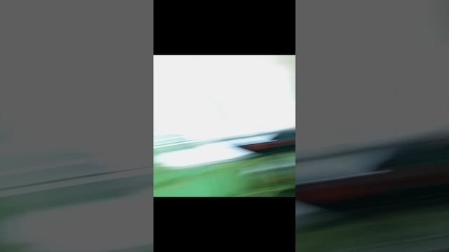 дискотека в школе:а у вас есть такая