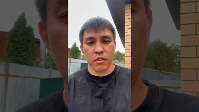 Черный кот перебежал дорогу что будет? 😡