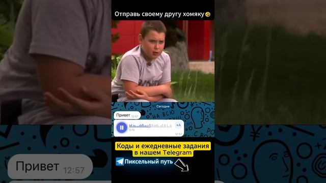 Боль хомяка 😂