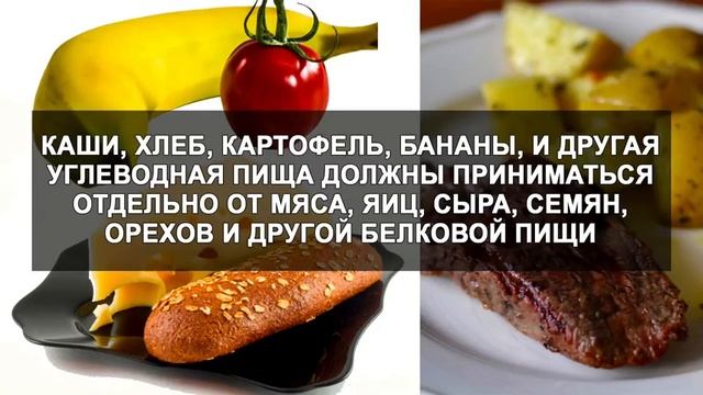 раздельное питание на сыроедении и обыч. питании и совместимость продуктов