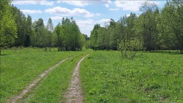 В поисках захоронения внучки А.С. Пушкина в Вяземском районе Смоленской области