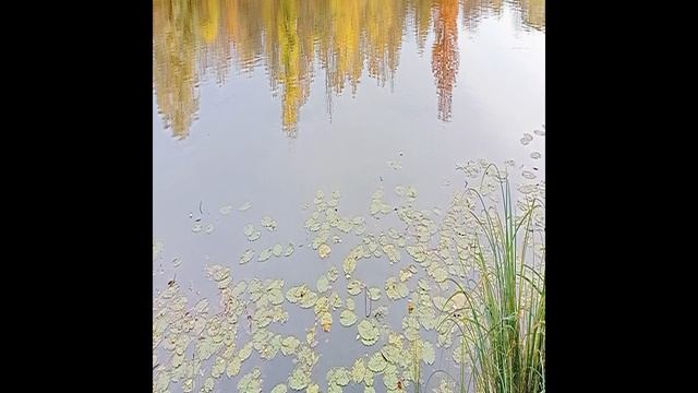 ССсР, ловим щуку, 3 штуки как на подбор.