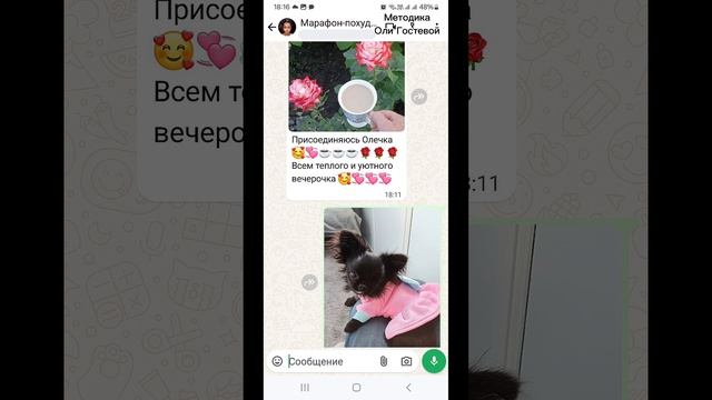 Марафон, чат ♡ Похудеть.
Марафон. Меню.