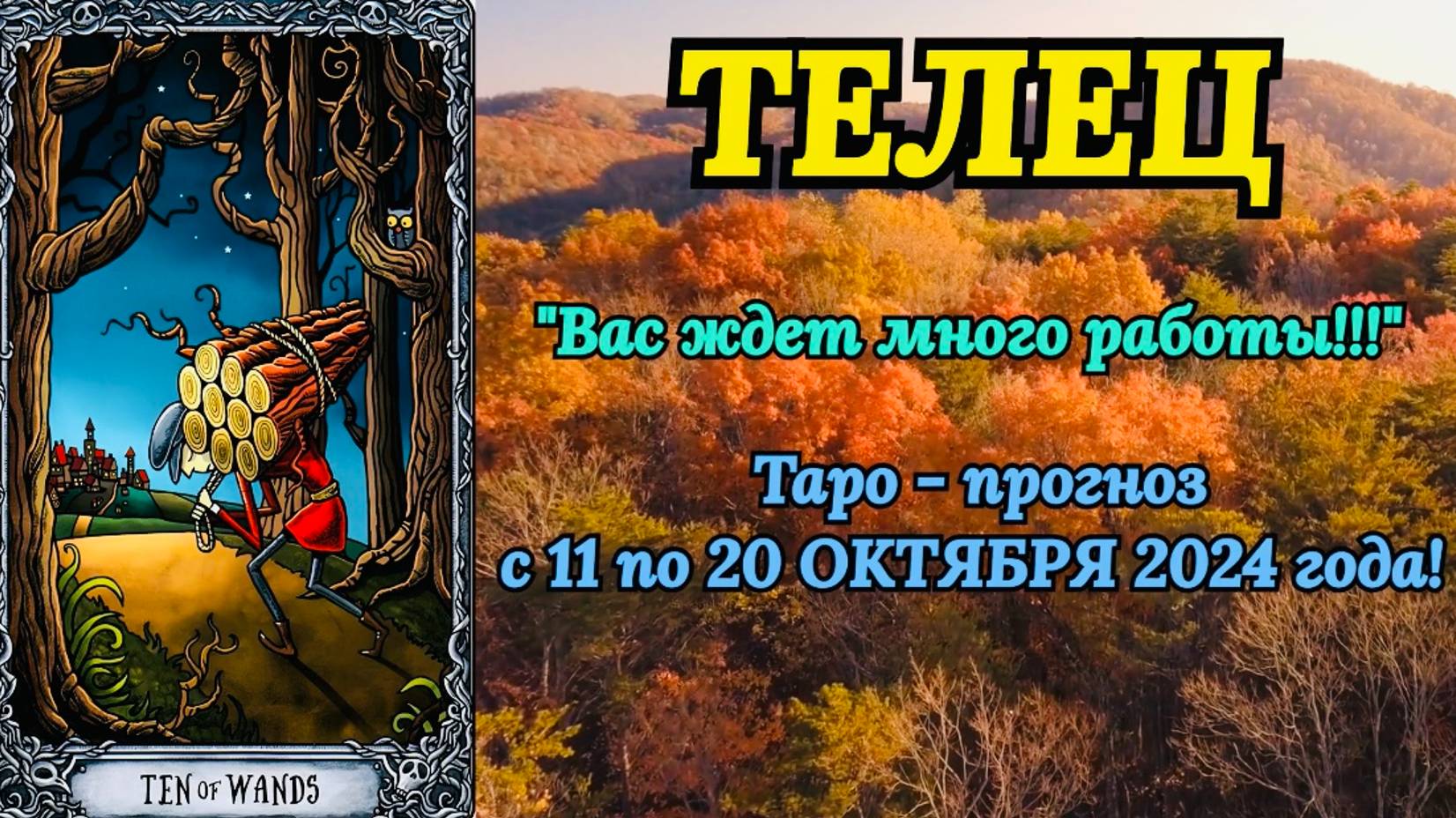 ТЕЛЕЦ: "ТАРО-ПРОГНОЗ с 11 по 20 ОКТЯБРЯ 2024 года!"