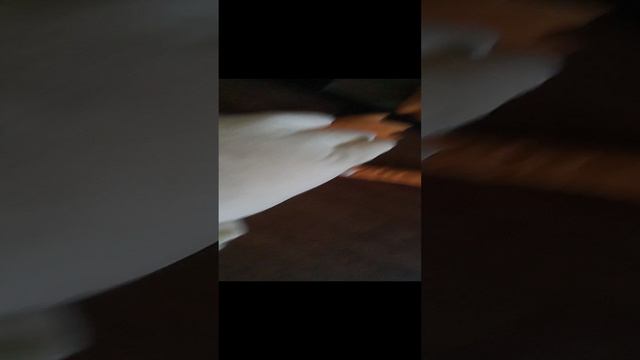 гусь 12 часть мега серия!