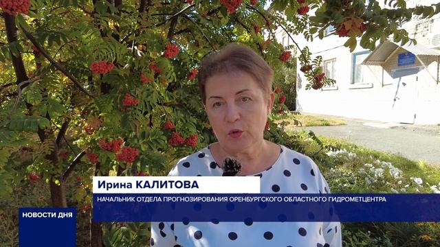 СИНОПТИКИ ПРОГНОЗИРУЮТ В ОРЕНБУРЖЬЕ СИЛЬНЫЕ ЗАМОРОЗКИ