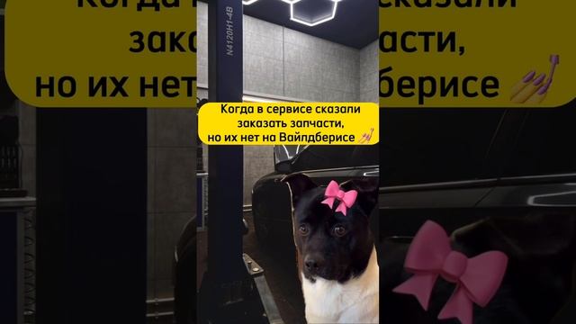 Ситуация, которая может произойти с каждым 😢