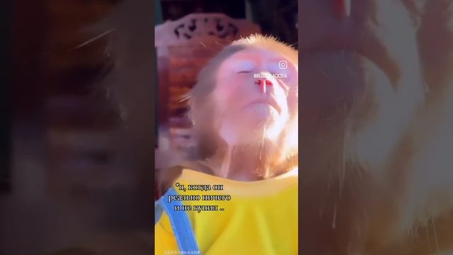 обезьянка