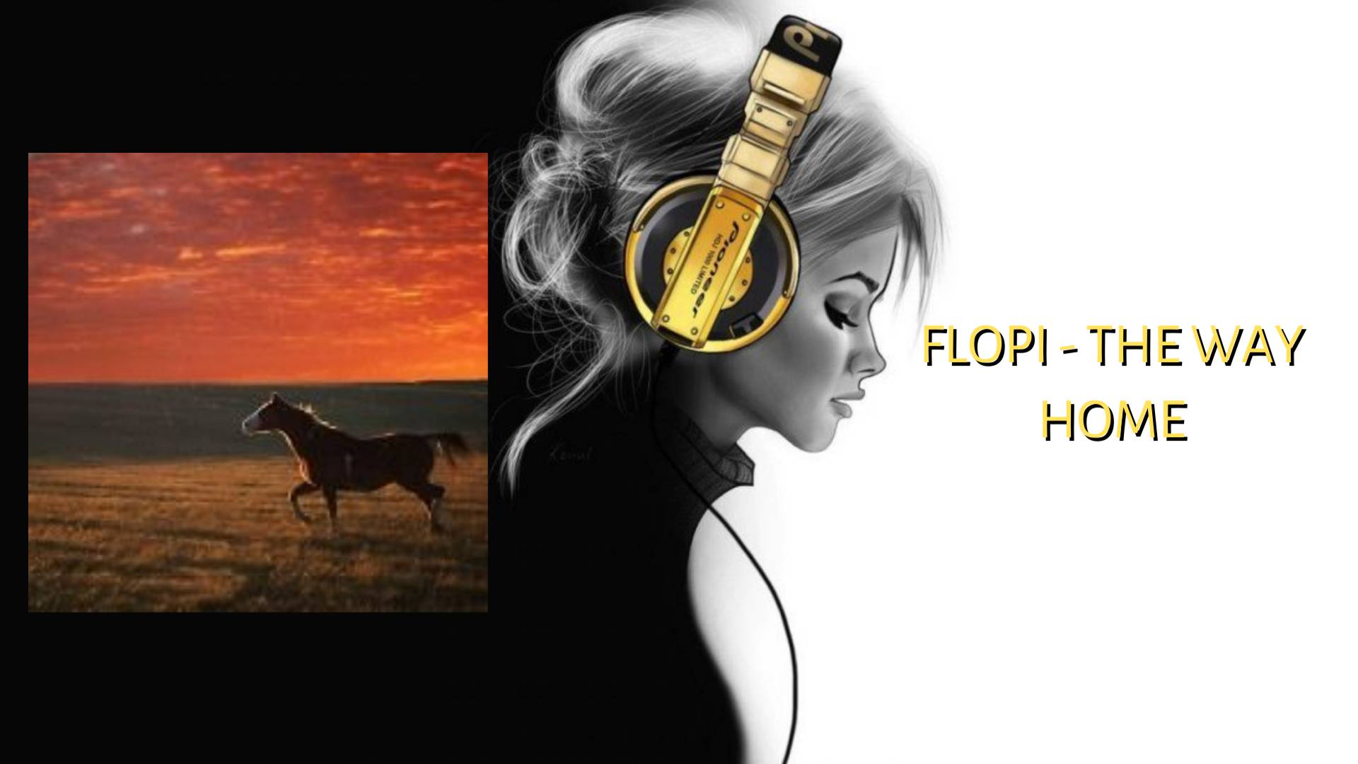 Flopi - The way home