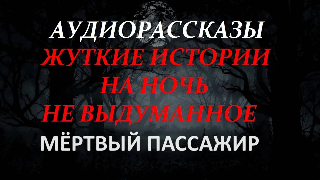 СТРАШНЫЕ РАССКАЗЫ НА НОЧЬ-МЁРТВЫЙ ПАССАЖИР