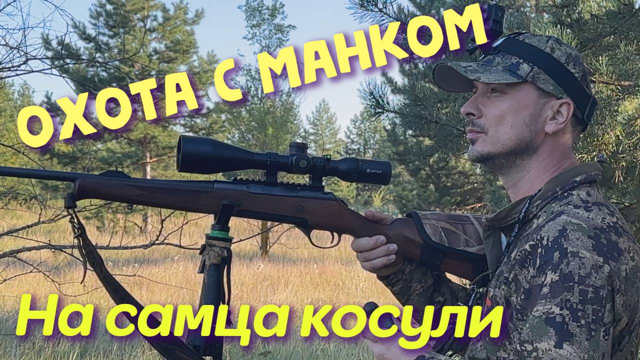 ОХОТА НА САМЦА КОСУЛИ СИБИРСКОЙ!